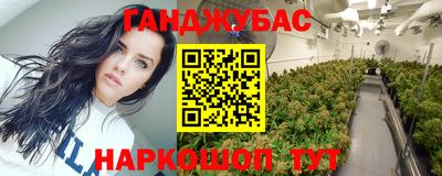 СК Гагарин